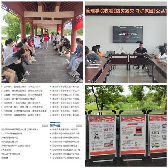 拼图3